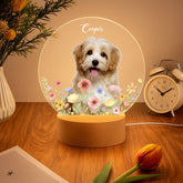 ChatGPT Image 2025年9月1日 12_04_01