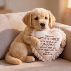 wmremove-transformed