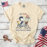 Comfort Colors 250 Years United States of America T-Shirt
