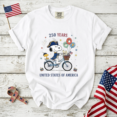 Comfort Colors 250 Years United States of America T-Shirt
