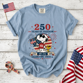Comfort Colors 250 Years United States of America T-Shirt