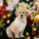 Furry Joy & Christmas Cuddles - Personalized Pet Photo Upload Acrylic Ornament - Gift For Pet Lovers