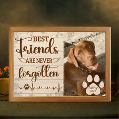 Boîte lumineuse personnalisée avec cadre photo – Cadeau pour les amoureux des chiens, les bons amis ne sont jamais oubliés