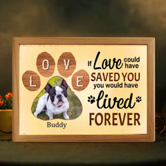 Boîte à cadre photo personnalisée – Mémorial pour chien, vous auriez vécu pour toujours