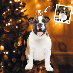 Furry Joy & Christmas Cuddles - Personalized Pet Photo Upload Acrylic Ornament - Gift For Pet Lovers