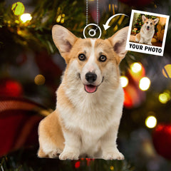 Furry Joy & Christmas Cuddles - Personalized Pet Photo Upload Acrylic Ornament - Gift For Pet Lovers